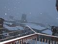 Neve (84)
